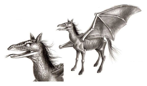 Concept art of a Thestral